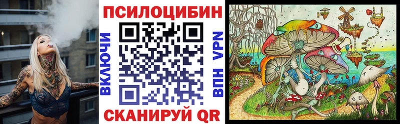 Купить где Сельцо Псилоцибиновые грибы мицелий
